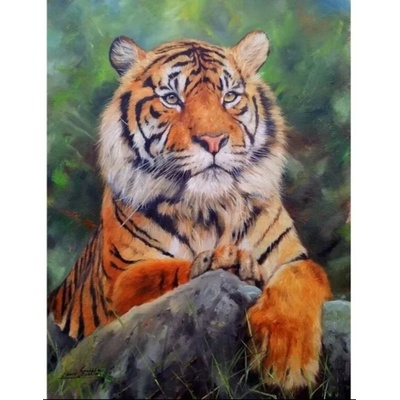 Тигър 15/25 см