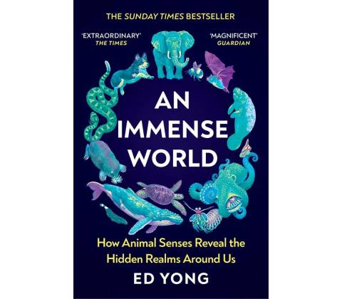 Immense World