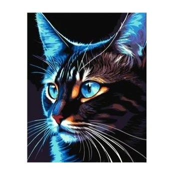 Qbee Paint by numbers - Cosmo-cat 40x50cm