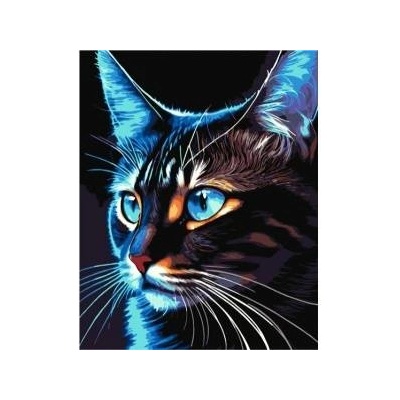 Qbee Paint by numbers - Cosmo-cat 40x50cm