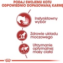 Royal Canin Instinctive v želé 12 x 85 g