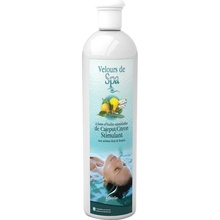 Camylle SPA esencia 250 ml Cajeput/Citrón