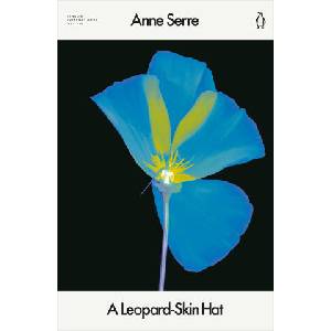 A Leopard-Skin Hat (ISBN: 9780241791493)