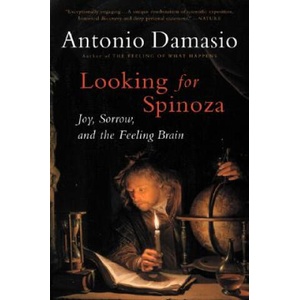 Looking for Spinoza | Antonio R. Damasio (ISBN: 9780156028714)