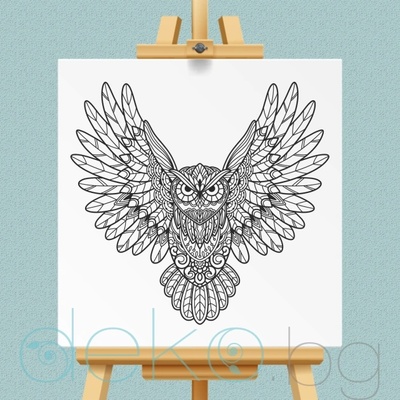 Нарисувай сам! Мандала Сова (col002)