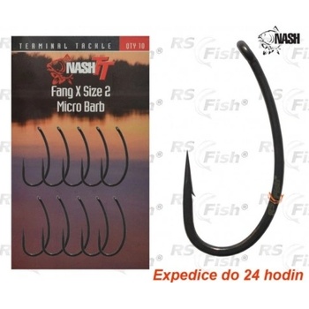 Kevin Nash Fang X vel.4 10 ks