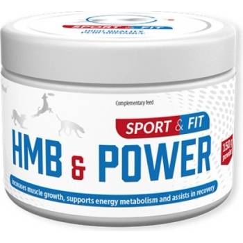 VetFood HMB & POWER - анаболен и антикатаболен препарат за активни кучета, 150 мл - Полша