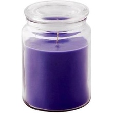 Provence Lavender 510 g