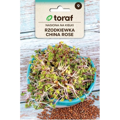 Toraf semínka na klíčky Ředkvička China Rose 20 g