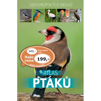 Atlas ptáků
