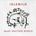 Idlewild - Make Another World CD