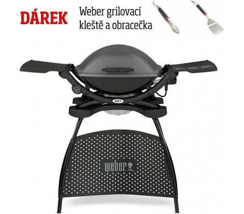 Weber Q 2400 Stand