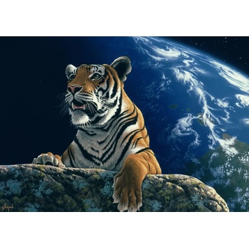 Image 1 of Grafika - Puzzle Schimmel: Only One Home III - 1 500 piese