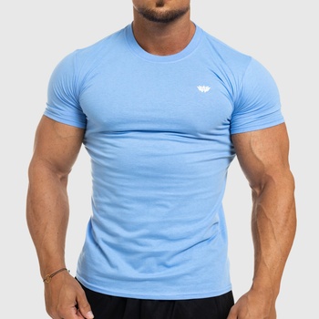 Pánské fitness tričko Iron Aesthetics Standard modré