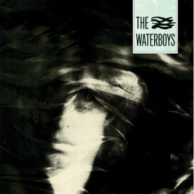 The Waterboys - The Waterboys (Reissue) (LP) (0825646310814)