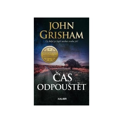 Čas odpouštět - John Grisham