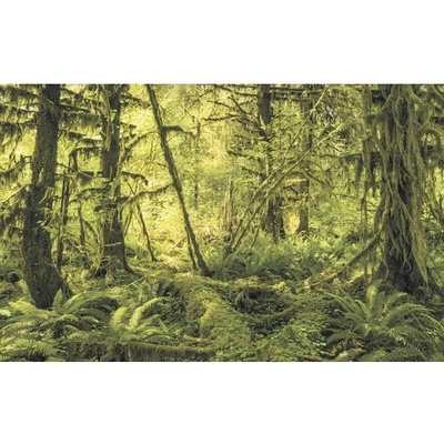 SH040-VD4 Fototapeta vliesová Ancient World 4-dílná rozměry 400x250 cm