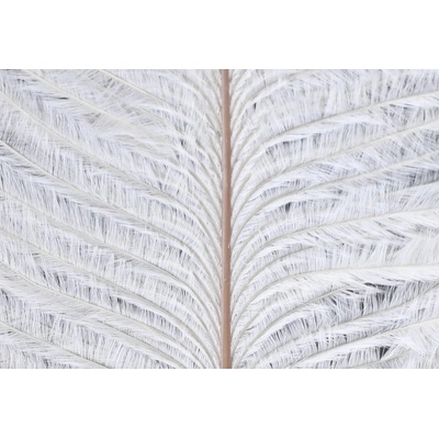 Veniard Pštrosí Peří Ostrich Herl White