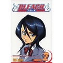Bleach, Vol. 2