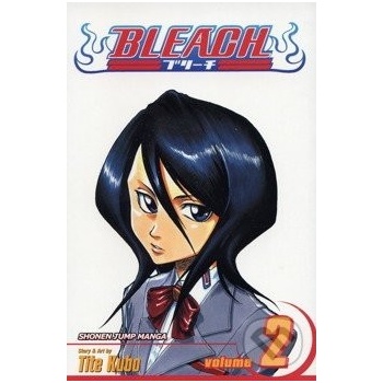 Bleach, Vol. 2