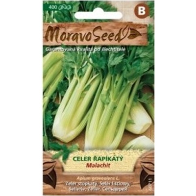 Semínka MoravoSeed Celer řapíkatý MALACHIT, zelený 60711