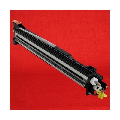 Ricoh D8093002/D8093032 - originálny