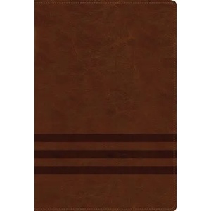 NVI Biblia de Estudio, Teología Bíblica, Leathersoft, Café Con Índice, Interior a Cuatro Colores: Sigue El Plan Redentor de Dios Como Se Desenlaza En | D. A. Carson, T. Desmond Alexander, Richard Hess (ISBN: 9780829770520)