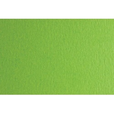 Fabriano Картон Colore, 70 x 100 cm, 140 g/m2, № 230, тревистозелен (43303230/100_VER.PIS)