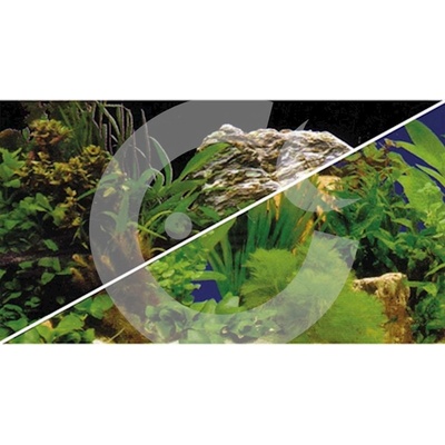 Hobby fototapeta oboustranná Pflanzen 100 x 50 cm