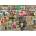 Ravensburger - Puzzle Street Market - 1 000 piese