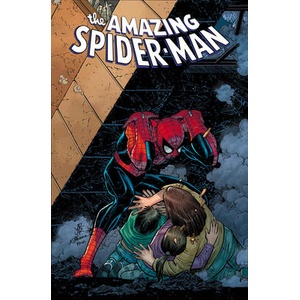 AMAZING SPIDERMAN BY ZEB WELLS V12 | WELLS ZEB (ISBN: 9781302959456)