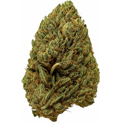 KlonyKonopí CBD Bubba KushAmerika THC do 1% 10 g – Zboží Dáma