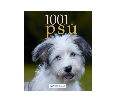 1001 psů