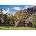 Clementoni - Puzzle The lovely Matterhorn - 500 piese