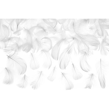 Party Deco Декоративни Пера, Бели, 3 Гр