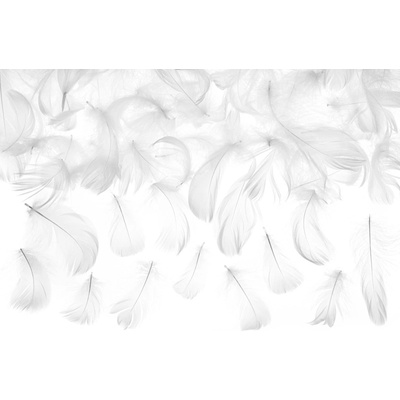 Party Deco Декоративни Пера, Бели, 3 Гр