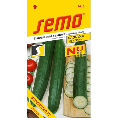 SEMO Okurka salátová SUPERSTAR F1