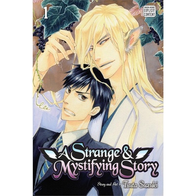 Strange and Mystifying Story, Vol. 1 Suzuki Tsuta Paperback