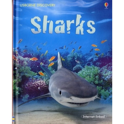 Rachel Firth - Sharks