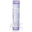 LithiumI Carbonicum gra.1 x 4 g 30CH