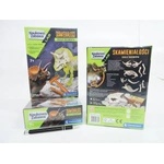 Clementoni Triceratops Fossil Set Fluorescent