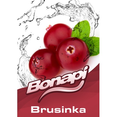 Bonapi BRUSINKA točené limonády post mix 20l