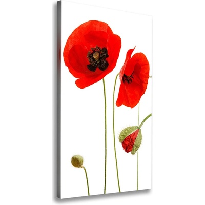 Vertikálny foto obraz na plátne do obývačky Polné maky 50x100 cm
