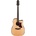 Ibanez AAD400CE-LGS