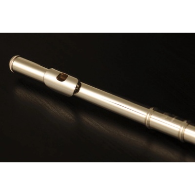 Arte Flutes Arte AFL 111 SL – Hledejceny.cz