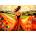 Enjoy - Puzzle My Beautiful World - 1 000 piese