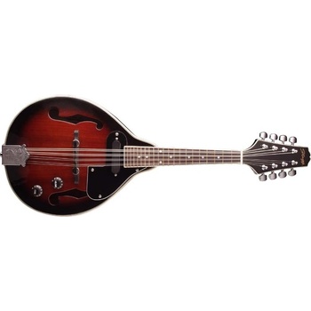 Stagg M50 E