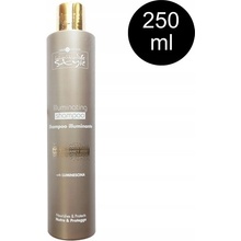 Hair Company Inimitable Style Shampoo Illuminante s leskem 250 ml