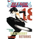 Bleach 18