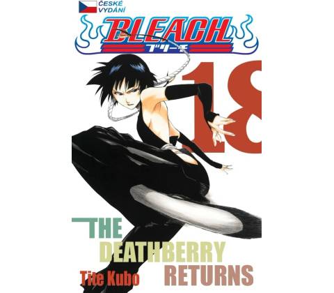 Bleach 18